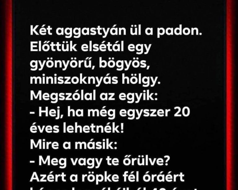 Két aggastyán ül a padon
