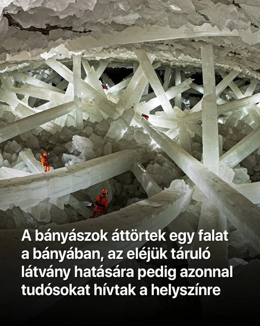 A bányászok áttörtek egy falat a bányában, az eléjük táruló látvány hatására pedig azonnal tudósokat hívtak a helyszínre