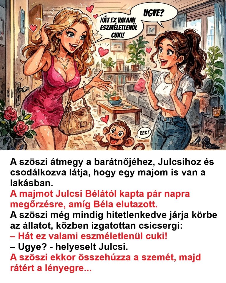 VICC: A szöszi átmegy a barátnőjéhez