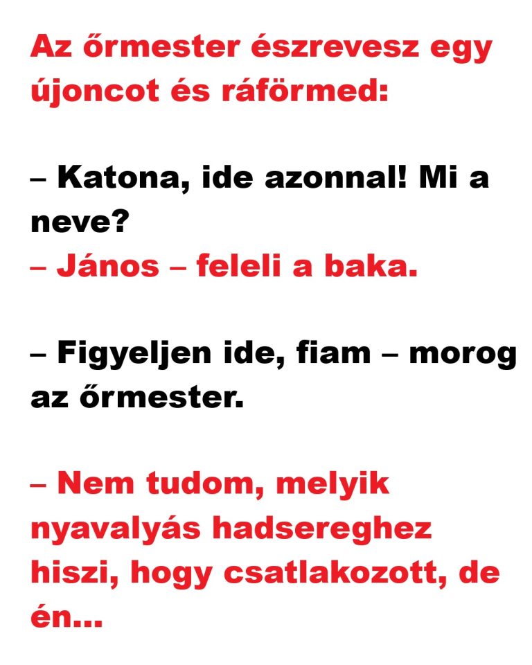 VICC: Az őrmester észrevesz egy újoncot és ráförmed