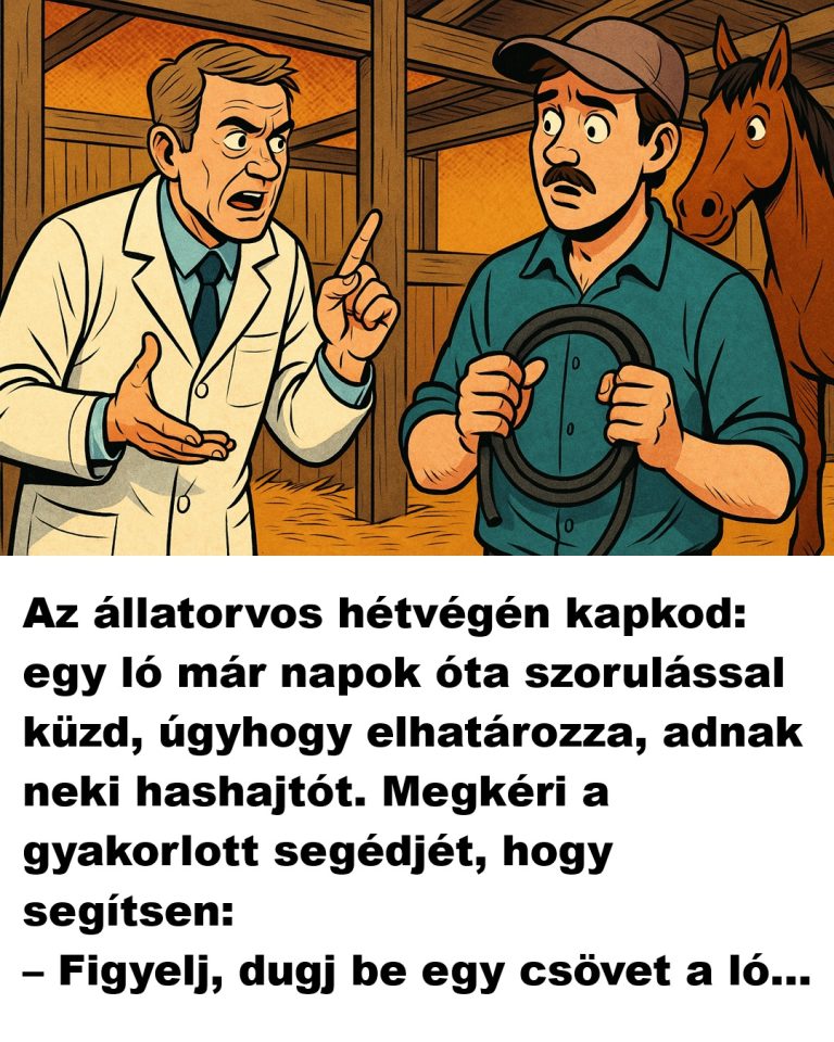 Az állatorvos hétvégén kapkod