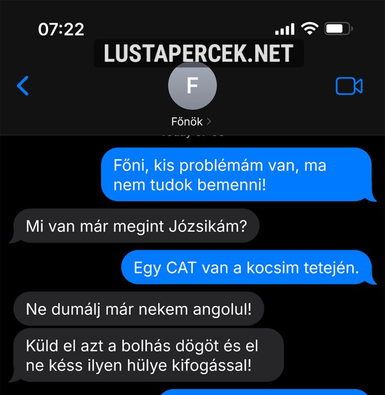 Főni, kis problémám van…