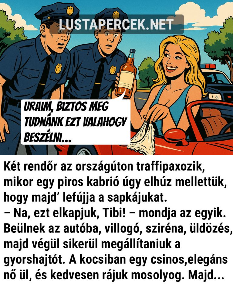 Két rendőr az országúton traffipaxozik