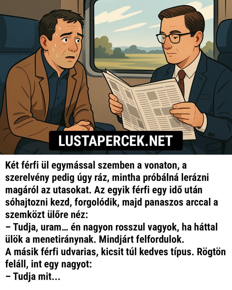 Két férfi ül egymással szemben a vonaton