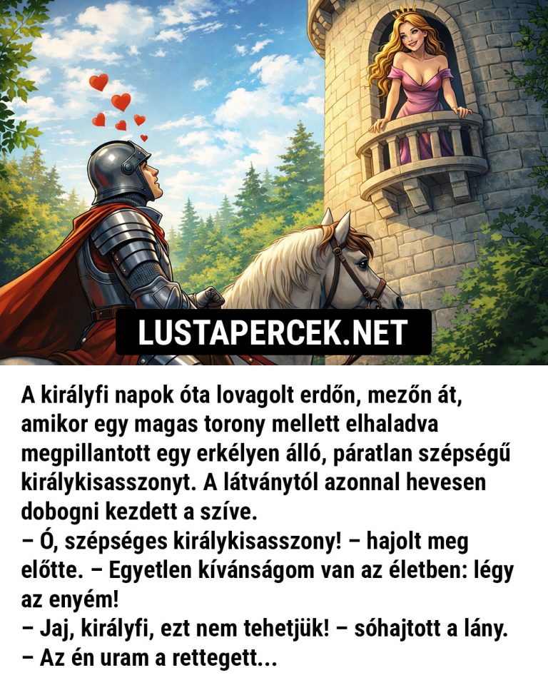 A királyfi napok óta lovagolt erdőn, mezőn át