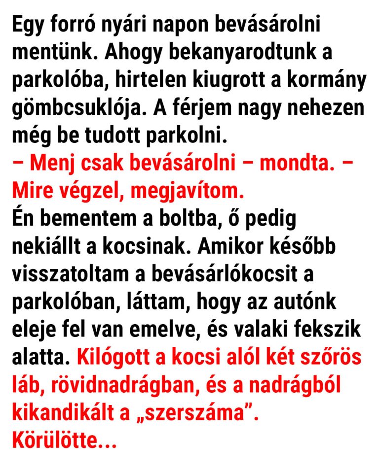 Egy forró nyári napon bevásárolni mentünk.