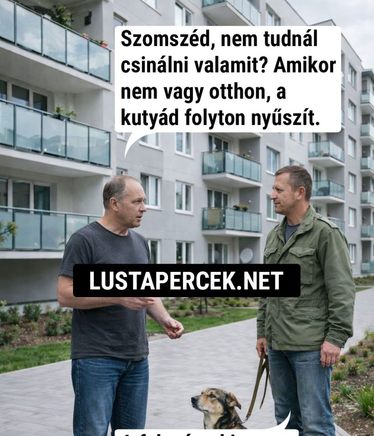 Szomszéd, nem tudnál csinálni valamit?