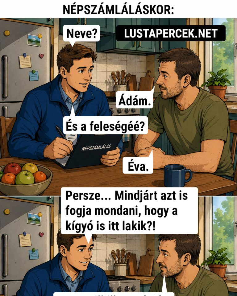 Népszámláláskor